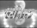 鋼鉄戦士セーラームーン