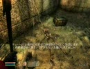 OBLIVION初プレイ【テスト１補足版】