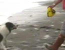 2008.10.26茅ヶ崎の海にて