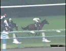 【競馬】　第69回　菊花賞