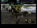 【MHP2G】モンハン成長記Ep：2 Vol. 10 「一縷の月光」　