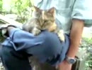 猫の公園vol.12(アイドル桜4)