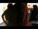The Tellers - Memory
