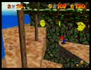 マリオ64 たかいたかいマウンテン コイン137枚