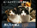 【ＭＵＧＥＮ】種族別チームトーナメント　Part8