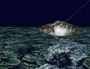【ＳＦＣ】海のぬし釣りをちょっとやってみる＿パート２７