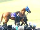 【EX-F1】2008.11.02 天皇賞(秋)ウオッカ・ダスカ等パドック【東京競馬】