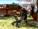 DOA4対戦動画11