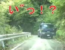 ちょっと静岡県をドライブしてきた　井川雨畑林道編～その３