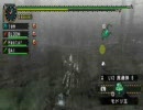 【MHP2G】kai狩り仲間募集中！【kai】