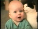 オモシロ猫動画