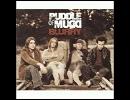 洋楽を高音質で聴いてみよう【79】  Puddle of Mudd  『Blurry』