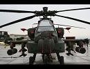 2008.11.09.明野駐屯地航空祭。