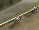 【ローレル賞】　競馬日報ニュース３３(本編)　【11月９日版】