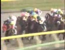 【競馬】[2008年11月08日]武蔵野ステークス(GIII)　 キクノサリーレ