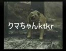DISASTER　あなたが観るなら僕は喋る　No.40