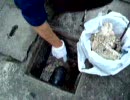 排水管高圧洗浄　動画パート2