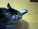 うたたねの一時part3