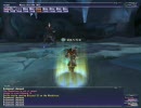 【FF11】ゴリさんの唇亡びてソロ、リベンジ その3