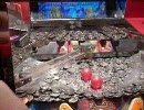 【メダル】スピンフィーバー☆ＦＧ詰合せ【（´・ω・｀）】