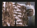 ～アコンカグア　生温かく（見守って＞＜）実況プレイ　Ｐａｒｔ3-2～