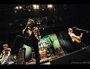 YOUNG FLAG08 ザ・クロマニヨンズ ライブ音源