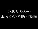 【パチスロ】小麦ちゃんのおっ○いを晒す動画