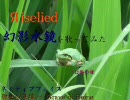 幻影水鏡を歌ってみた