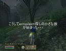 ドラクエ風Oblivion　第４話「酔っ払いと無秩序(後)」