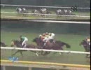 【競馬】[2008年11月16日]赤松賞(2歳500万下牝) ダノンベルベール