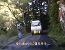 【酷道ラリー】国道371号線 その16