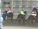 【競馬】 LJS2008 第1ステージ第1戦 加賀友禅賞