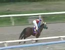 【競馬】 LJS2008 第1ステージ第2戦 イーバンク銀行賞