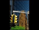 Grand Street / Dave Bailey