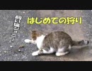 初めての狩り