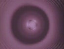 ts