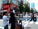 NHKのカメラを横切る馬人間@秋葉原