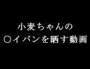 【パチスロ】小麦ちゃんの○イパンを晒す動画