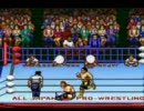 【スーファミ】全日本プロレス2 3・4武道館 怪奇現象その1