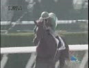 【競馬】[2008年11月23日]メイクデビュー京都(新馬戦)　ジョーゲルダ