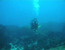 Diving in I.O.P. (動画投稿テスト)