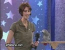 賢いインコ