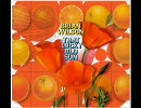 Brian Wilson - THAT LUCKY OLD SUN（ TLOS～Surfer Girlまで）