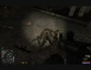 S.T.A.L.K.E.R. ARSENAL Mod をやってみた。#18