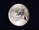 【Fly Me to the Moon】をトランペットで吹いてみた。.