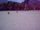 FREESTYLE_slalom_no_MEC