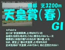 【競馬重賞名鑑】古馬芝中長距離１【2005年版】