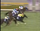 【競馬】　2008年 天皇賞（秋）　英語実況バージョン