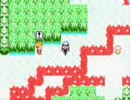 【ポケモン】リアルライバルと通信対戦（ルビー編）Part24