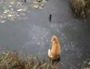 ドキドキする